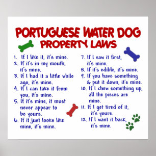 PÔSTER CÃO DE ÁGUA PORTUGUÊS PL2