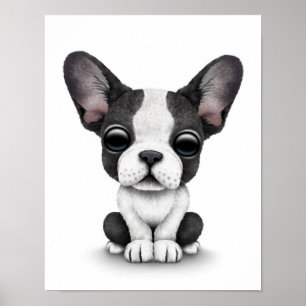 Poster Cão de filhote de cachorro bonito do buldogue