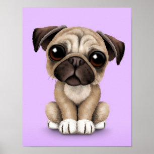 Pôster Cão de filhote de cachorro bonito do Pug do bebê