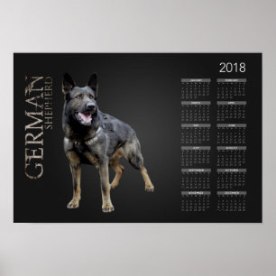 Poster Cão de german shepherd de trabalho - calendário