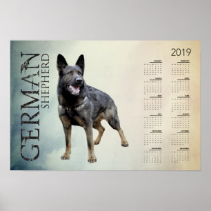Poster Cão de german shepherd de trabalho - calendário
