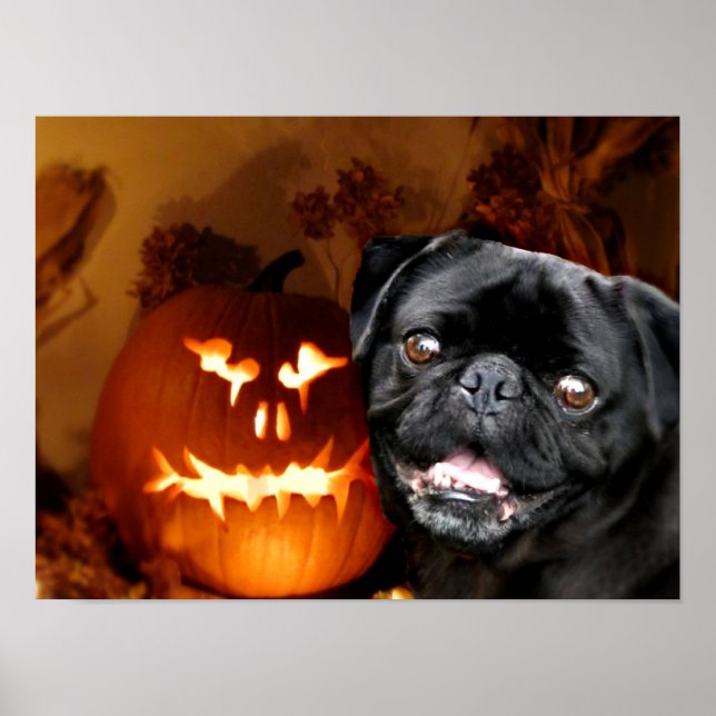 Pôster Cão de Halloween Pug (Frente)