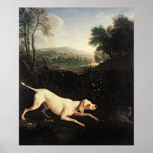 Pôster Cão de Louis XIV, Tane