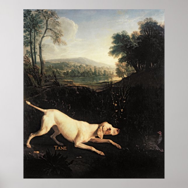 Pôster Cão de Luís XIV, Tane (Frente)