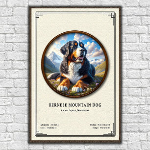 Poster Cão de Montanha Bernês Série de Zoologia