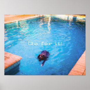 Poster Cão de natação