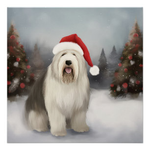 Pôster Cão de Pastoreio Inglês Antigo no Natal com Neve
