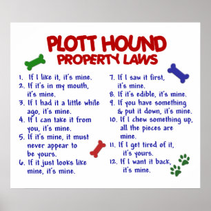 PÔSTER CÃO DE PLOTT PL2