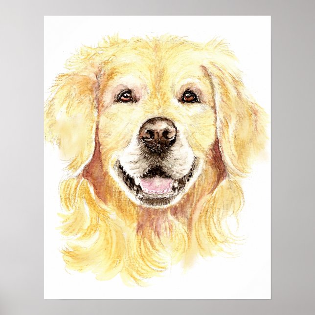 Poster Cão de Retriever ouro Pet Aquarela animal (Frente)