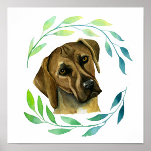 Poster Cão de Rhodesian Ridgeback com uma aguarela da