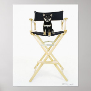 Pôster Cão de Shiba Inu na cadeira do diretor