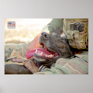 POSTER CÃO DE TRABALHO MILITAR DOS EUA