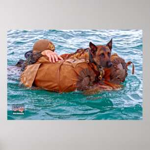 POSTER CÃO DE TRABALHO MILITAR DOS EUA