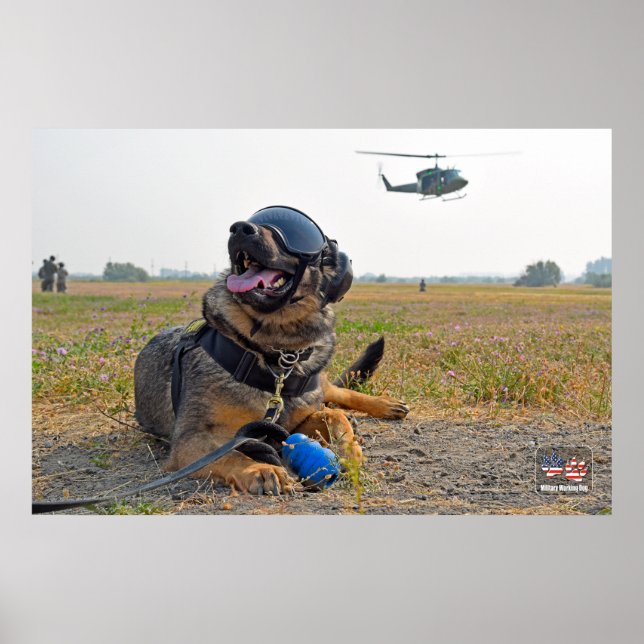 POSTER CÃO DE TRABALHO MILITAR DOS EUA (Frente)