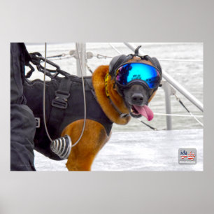 POSTER CÃO DE TRABALHO MILITAR DOS EUA