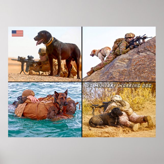 POSTER CÃO DE TRABALHO MILITAR DOS EUA (Frente)