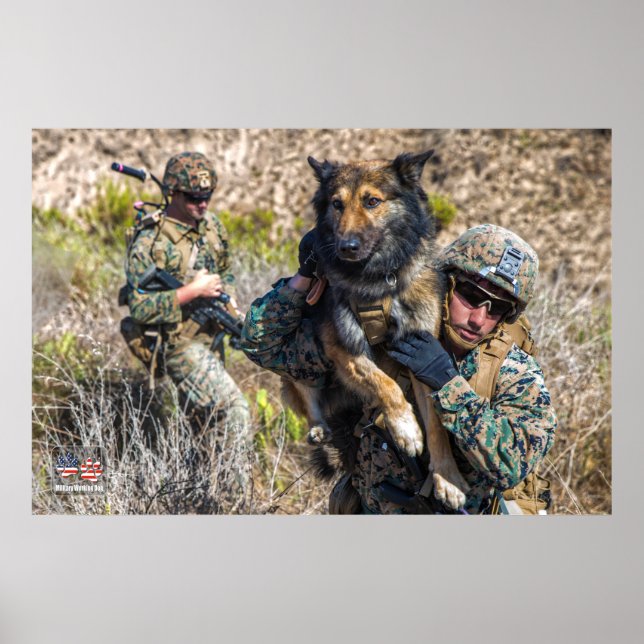 POSTER CÃO DE TRABALHO MILITAR DOS EUA (Frente)