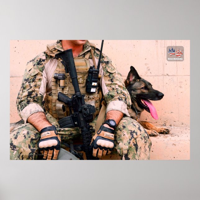POSTER CÃO DE TRABALHO MILITAR DOS EUA (Frente)