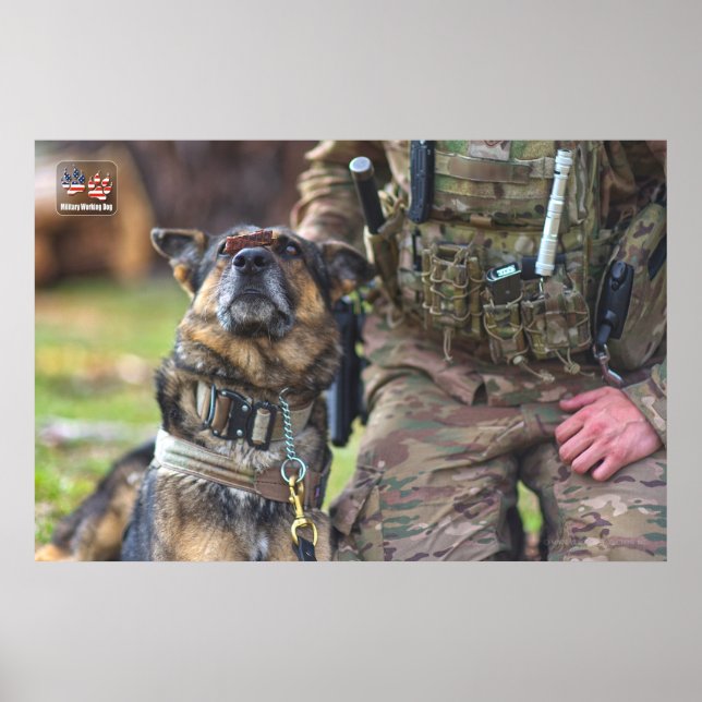 POSTER CÃO DE TRABALHO MILITAR DOS EUA (Frente)