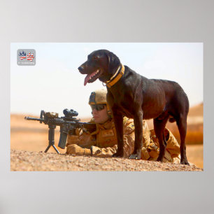 POSTER CÃO DE TRABALHO MILITAR DOS EUA