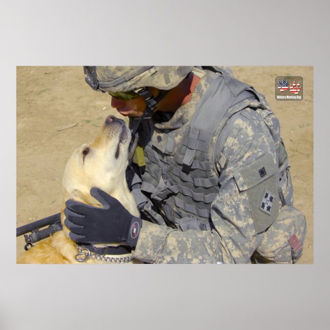 POSTER CÃO DE TRABALHO MILITAR DOS EUA (Frente)