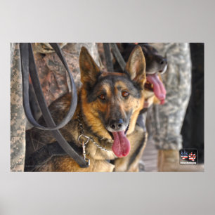 POSTER CÃO DE TRABALHO MILITAR DOS EUA