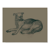 Cão. desenho do lápis.