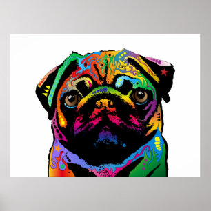 Pôster Cão do Pug