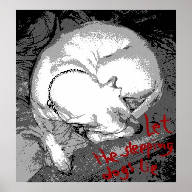 Pôster Cão dormindo (poster) (Frente)