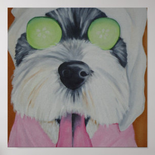 Poster Cão dos termas