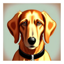 Cão Dourado Com Coleira Mostrando Placa de Identid