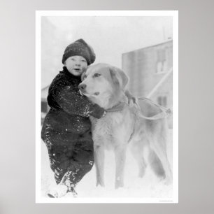 Poster Cão e criança Nome Alaska 1926