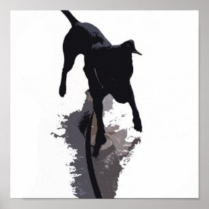 Pôster cão e sombra posterized