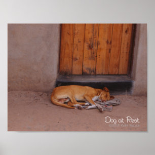 Pôster Cão em repouso