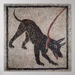 Pôster Cão em uma trela, de Pompeii