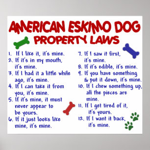 PÔSTER CÃO ESKIMO AMERICANO PL2