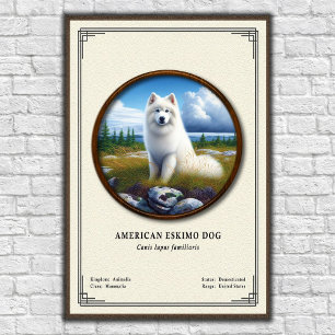 Poster Cão Esquimó Americano Série de Zoologia