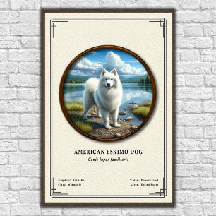 Poster Cão Esquimó Americano Série de Zoologia