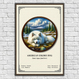 Poster Cão Esquimó Americano Série de Zoologia