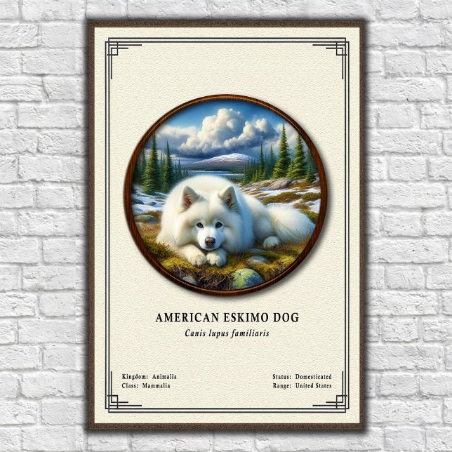 Poster Cão Esquimó Americano Série de Zoologia (Criador carregado)