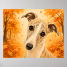 Cão Floresta Outono Whippet