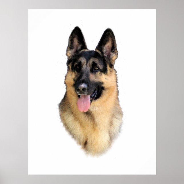 Poster Cão german shepherd (Frente)