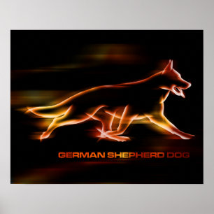 Poster Cão german shepherd - poesia em movimento