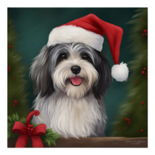 Pôster Cão Havanês no Natal com Neve