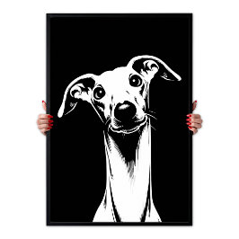 Poster Cão Italiano Greyhound Pop Art Branco & Estética P