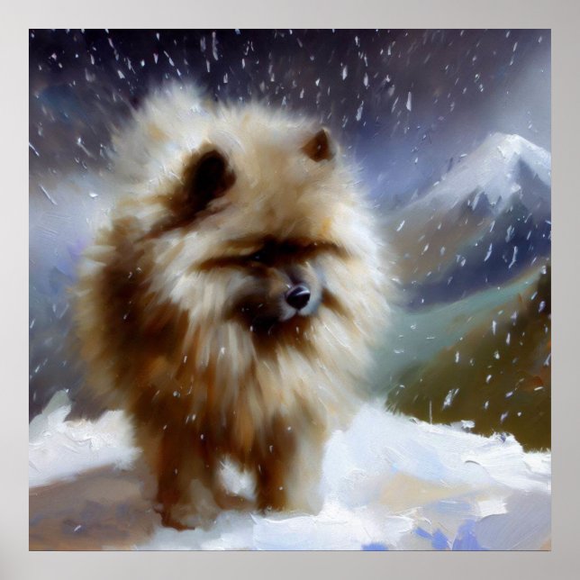 Poster Cão Keeshond (Frente)