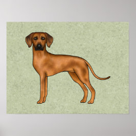 Poster Cão Leão Cartoon Marrom Rhodesian Ridgeback Verde