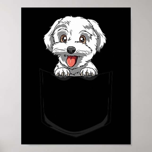 Poster Cão Maltês Bolso Maltês Pocket Pocket Malt (Frente)