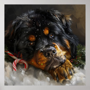 Poster Cão Mastim Tibetano Natal Festivo 