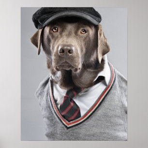 Pôster Cão na camisola e no boné